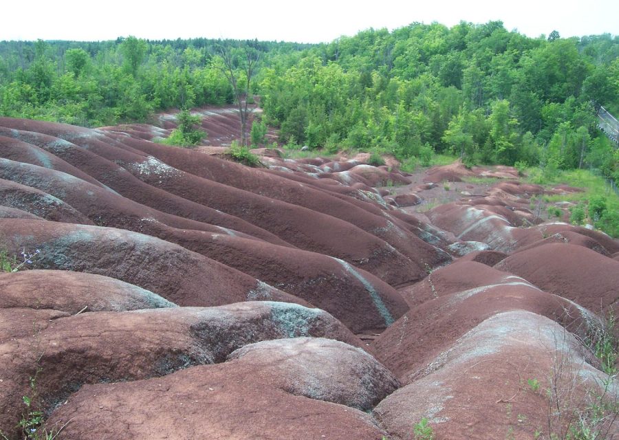 Caledon neighbourhood, Ontario