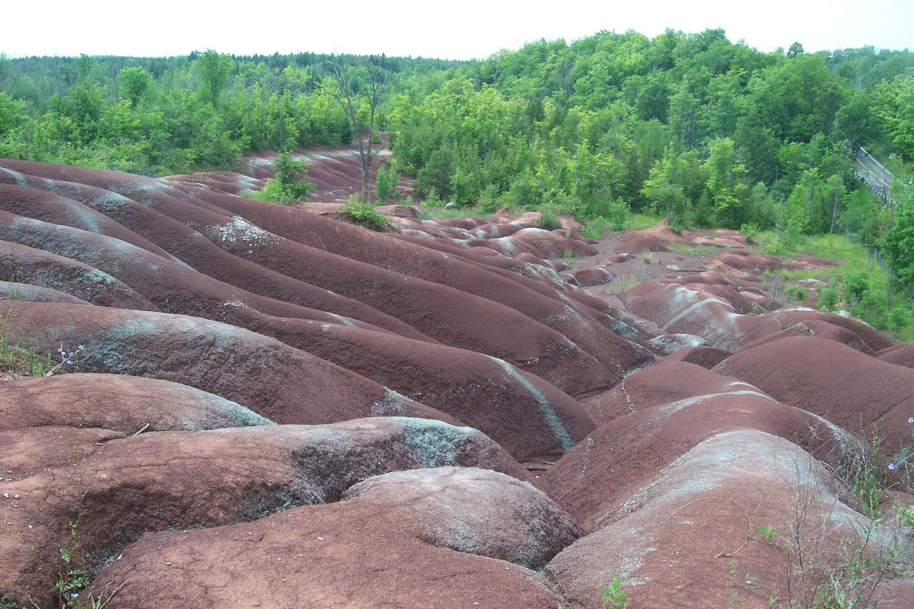 Caledon